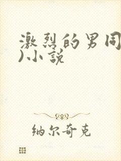 激烈的男同(h)小说