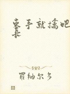 束手就擒吧韩队长