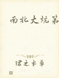 南北大炕第一部