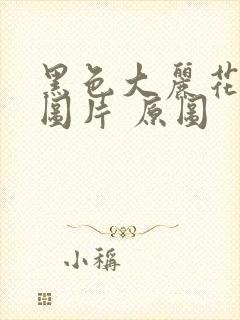 黑色大丽花真实图片 原图