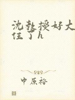 沈教授好大含不住了h