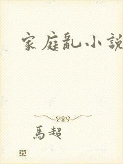 家庭乱小说封面