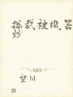 总裁被机器人爆炒