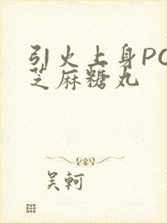 引火上身POP芝麻糖丸