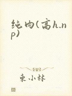 纯肉(高h.np)
