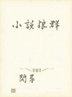 小说狼群