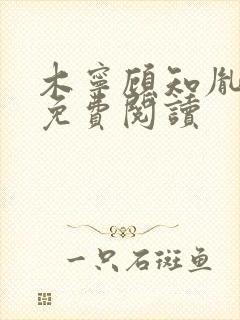 木宁顾知胤小说免费阅读封面