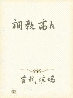 调教高h