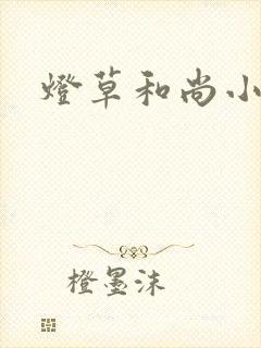 灯草和尚小说封面