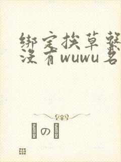 绑定挨草系统后没有wuwu名字