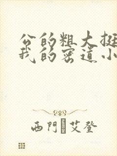 公的粗大挺进了我的密道小说封面