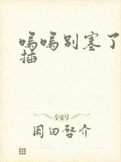 呜呜别塞了啊抽插封面