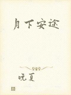 月下安途