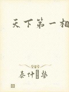 天下第一相书封面