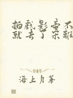 拍戏影帝不小心就去了宋离