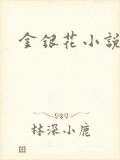 金银花小说乐可