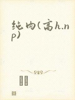 纯肉(高h.np)封面
