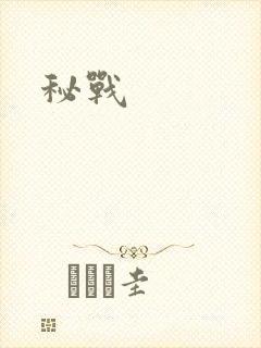 秘战
