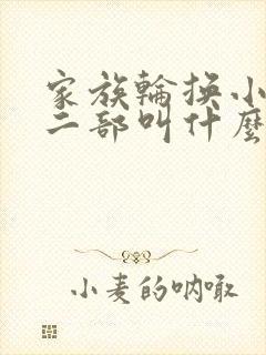 家族轮换小说第二部叫什么名字封面