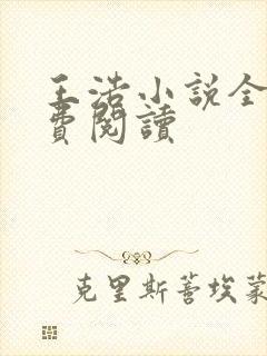 王浩小说全文免费阅读