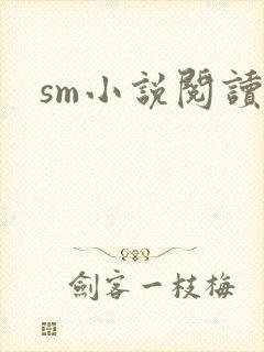 sm小说阅读