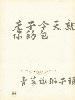 老子今天就要开你的包封面