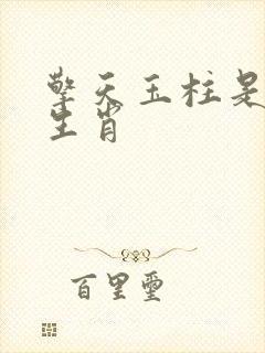 擎天玉柱是什么生肖封面