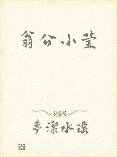 翁公小莹