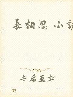 长相思 小说