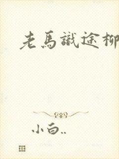 老马识途柳娇娇
