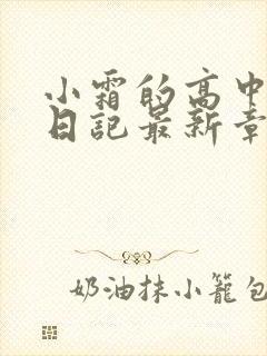 小霜的高中成长日记最新章节