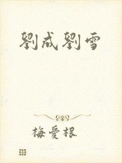 刘成刘雪封面