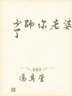 少帅你老婆又跑了