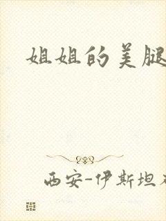 姐姐的美腿