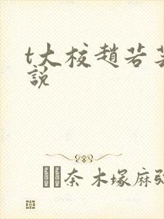 t大校赵若芸小说