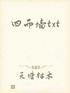 四面墙txt