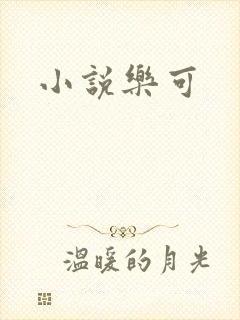小说乐可封面