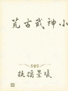 荒古武神小说