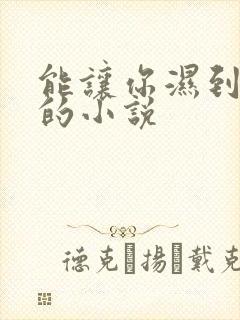 能让你湿到不行的小说