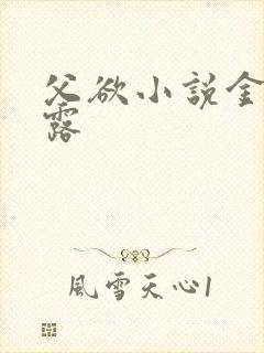 父欲小说金银花露封面