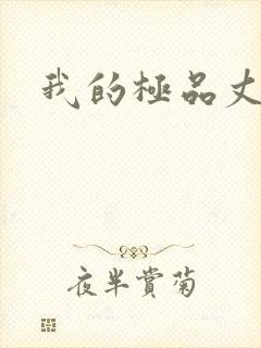 我的极品丈母娘