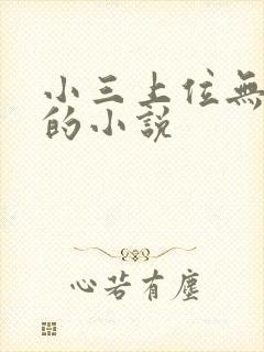 小三上位无三观的小说