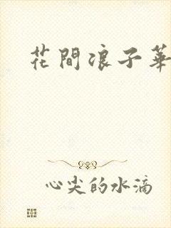 花间浪子华云龙封面