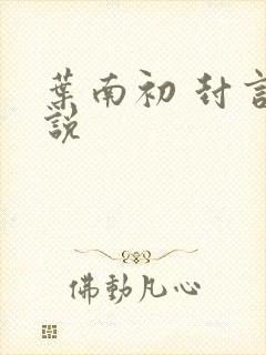 叶南初 封言小说封面