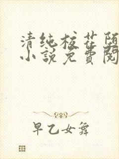 清纯校花堕落记小说免费阅读