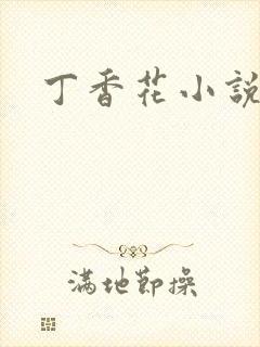 丁香花小说
