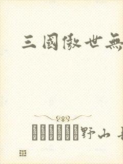 三国傲世无双封面