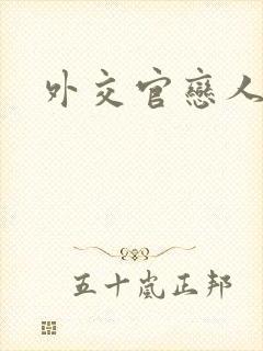外交官恋人小说封面