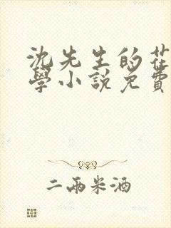 沈先生的花式教学小说免费