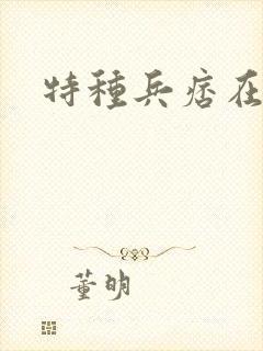 特种兵痞在都市